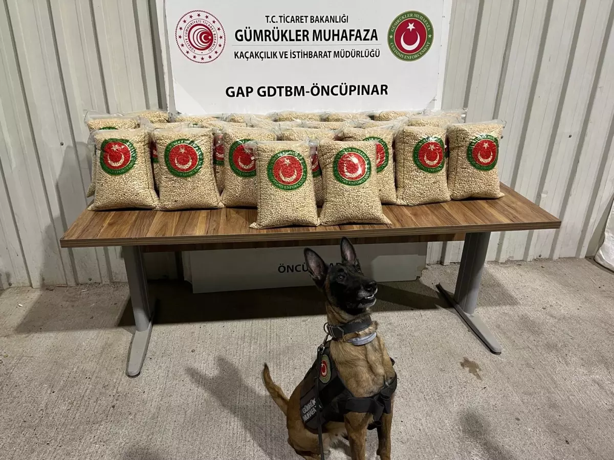 Gümrük Operasyonlarında Yasa Dışı Ürünler Ele Geçirildi